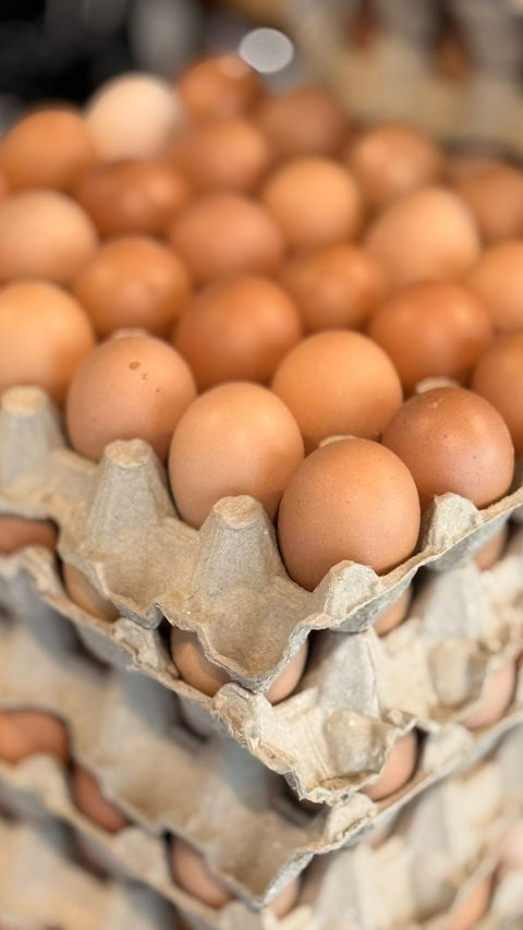 Cage Free Brown Eggs