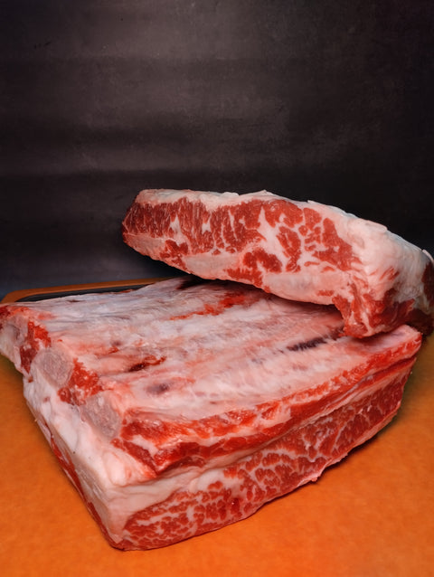 Angus Shortribs MB2