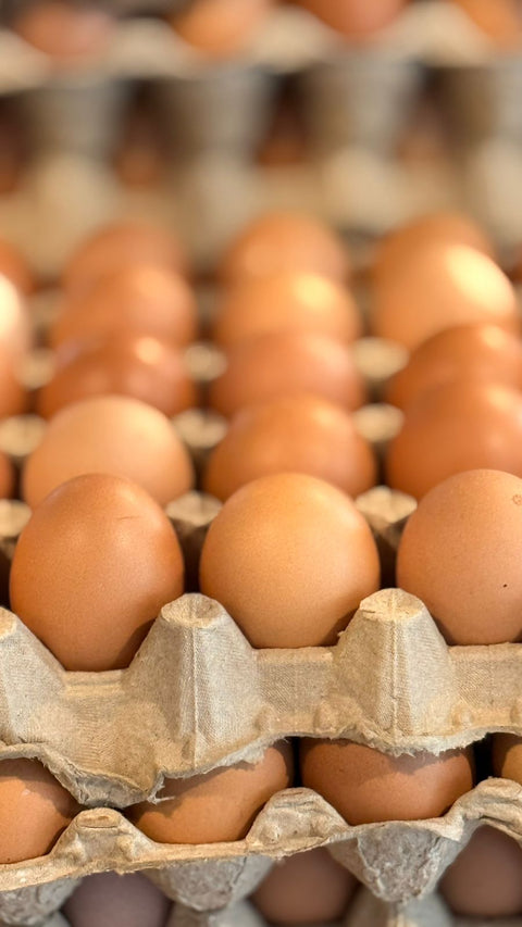 Cage Free Brown Eggs