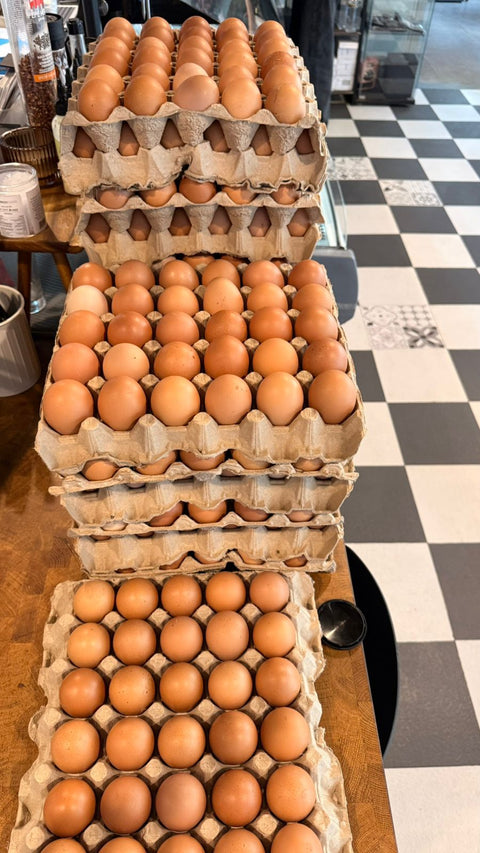Cage Free Brown Eggs